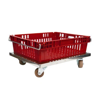 24 X 20 X 7″ প্লাস্টিক চিলপ্যাক কন্টেইনার