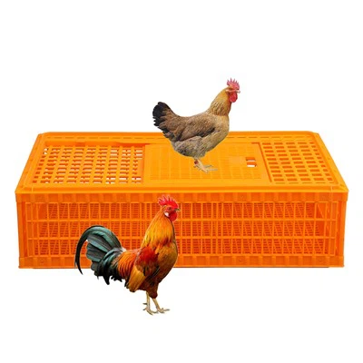 বড় একক দরজা প্লাস্টিক চিকেন ক্রেট