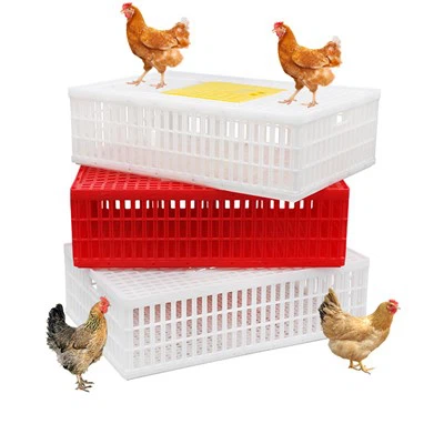 প্লাস্টিক চিকেন ট্রান্সপোর্ট ক্রেট 35″LX 23.5″WX 10.25"