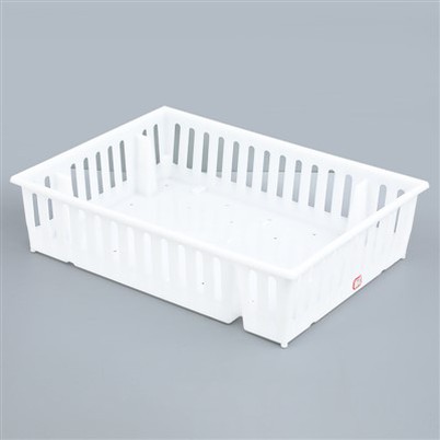 প্লাস্টিকের দিন ওল্ড চিক বক্স