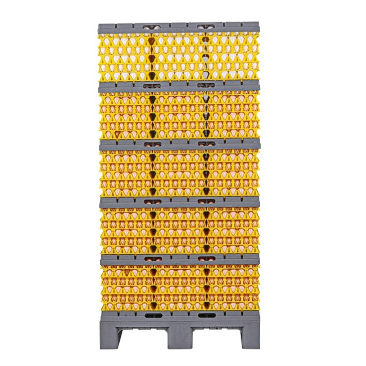 Egg Cargo System 4/ 5/ 6 Layers