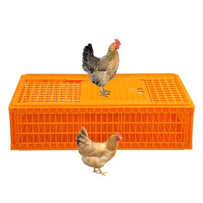 98cm প্লাস্টিক চিকেন পরিবহন বক্স