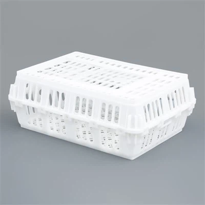 বিচ্ছিন্ন প্লাস্টিক চিকেন ক্রেট