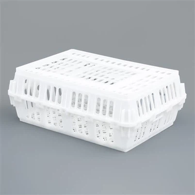 বিচ্ছিন্ন প্লাস্টিক চিকেন ক্রেট