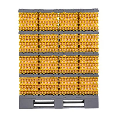 ডিম পরিবহন ব্যবস্থা