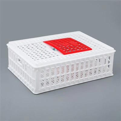 প্লাস্টিক মুরগি পরিবহন ঝুড়ি