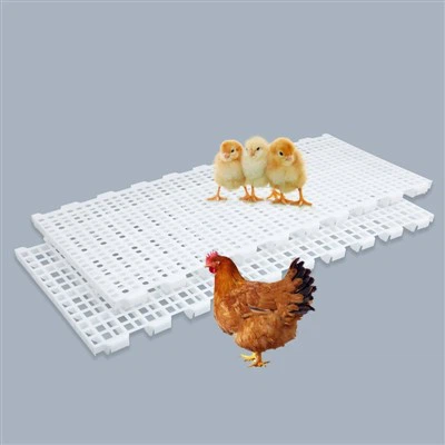 হাঁসের জন্য প্লাস্টিকের মেঝে প্যানেল