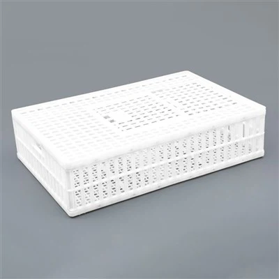 প্লাস্টিক লাইভ বার্ড শিপিং ক্রেট