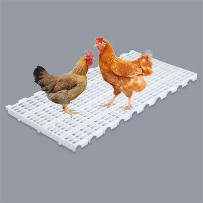 প্লাস্টিক পোল্ট্রি প্রজনন মেঝে প্যানেল