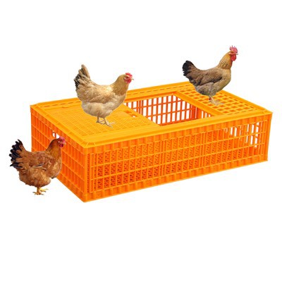 প্লাস্টিক পোল্ট্রি ক্যারিয়ার ক্রেট