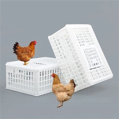পোল্ট্রি জন্য প্লাস্টিক পরিবহন ক্রেট খাঁচা