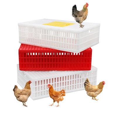 লাইভ পোল্ট্রি জন্য প্লাস্টিক পরিবহন ক্রেট