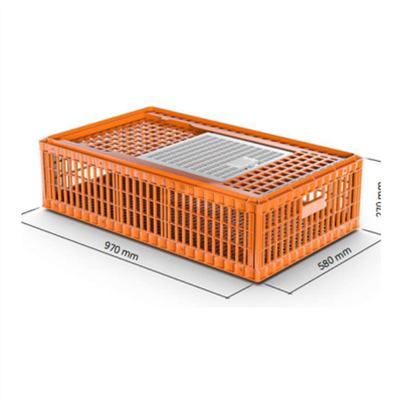 ইউভি স্টেবিলাইজড প্লাস্টিক চিকেন ক্রেট