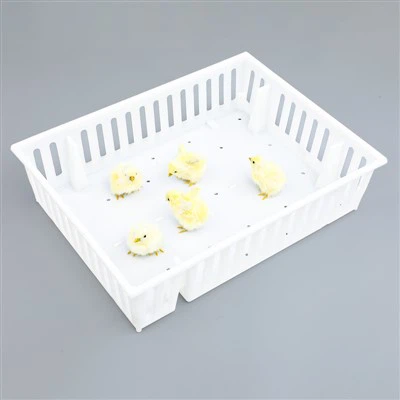 ইয়াং বার্ড প্লাস্টিক পরিবহন বক্স